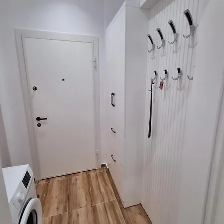 Bonzo Homes * تيرانا