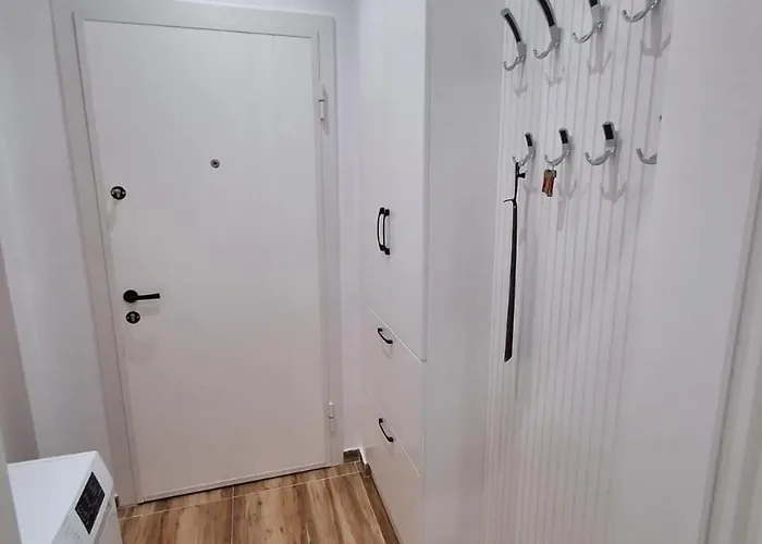 Bonzo Homes * Тирана